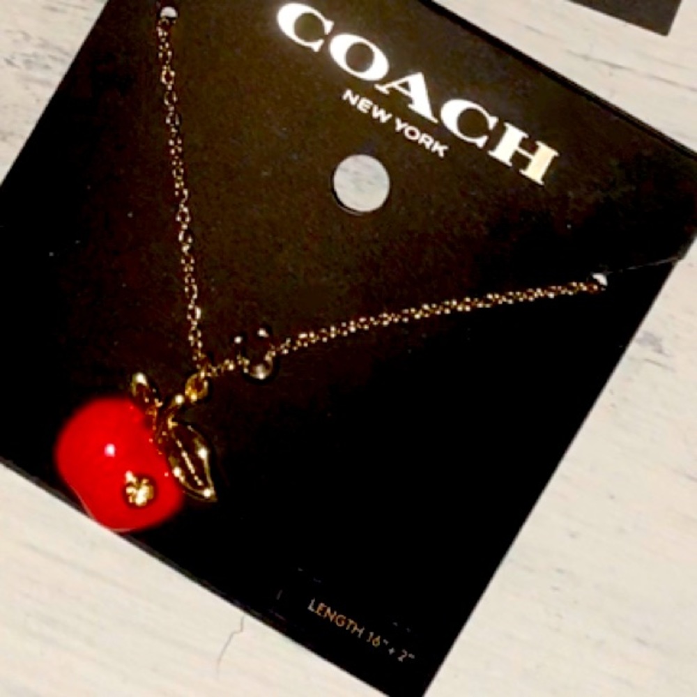Teacher Coach apple necklace